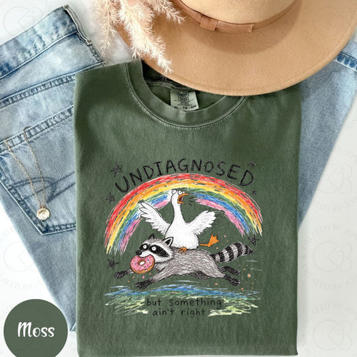 Funny Goose Riding Raccoon T-Shirt – Comfort Colors Graphic Meme Tee - Hiyamart