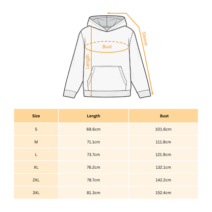 Texas Hoodie – Houston City Style Sweatshirt, Retro Lone Star Graphic Pullover for Men & Women